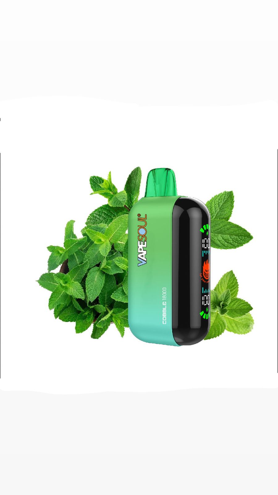 SPEAR MINT